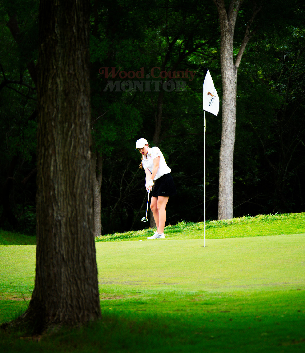 Allie Hooton eyes her putt as it traverses the steep slope up to the hole. [see more shots from state]